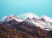 开云体育官网-辽宁女排获第六遗憾收官 教练边攻已成球队老大难